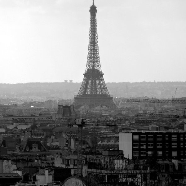 Vue de la Tour Eiffel depuis le parc de Belleville