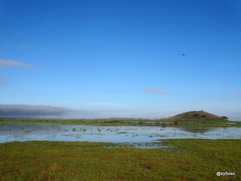 Vue-plan-d'eau-Amboseli